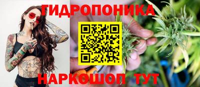 бошки Камышлов