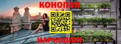 бошки Камышлов