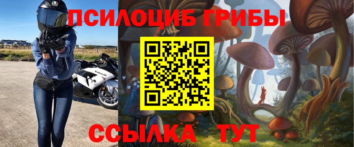 Галлюциногенные грибы мицелий  Вход с VPN  Крымск  Галлюциногенные грибы GOLDEN TEACHER 