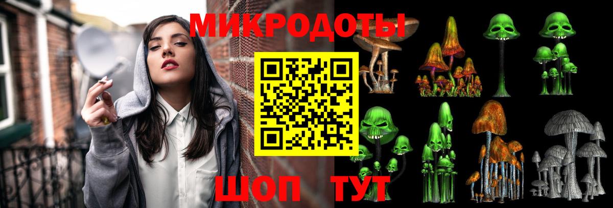 Псилоцибиновые грибы Psilocybine cubensis Крымск